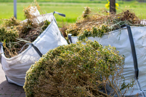 Best Shed Removal  in Canyonville, OR