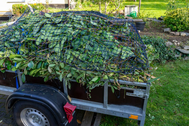 Best Commercial Junk Removal  in Canyonville, OR
